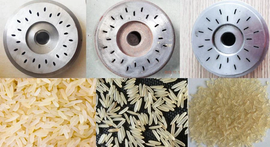 nutritional rice project