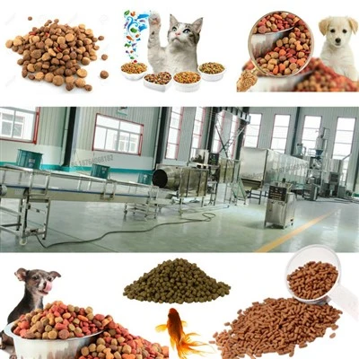 Hayvan Köpek Kedi Evcil Hayvan Maması Ekstruder Yapma Makinesi SATILIK
